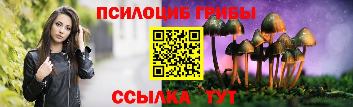 Галлюциногенные грибы Psilocybine cubensis  Вход с VPN  Татарск  Псилоцибиновые грибы Psilocybe 